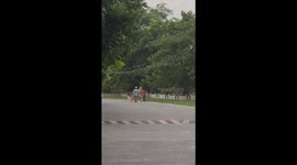 After a Grueling Battle With Laziness, Laziness Wins the Day