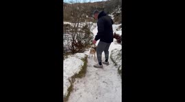 Dog walker slips on icy trail before having to chase after pooch
