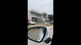 Giant Scary Skeleton Elf-on-the-Shelf