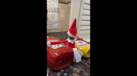 Elf on the Shelf Condiment Target Practice