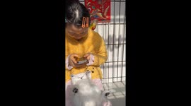 Adorable kitten stays fast asleep on owner’s lap in Hunan, China