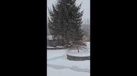 Light snowfall blankets Hampton, New Jersey, USA