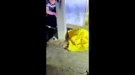 Terrified neighbours watch as python is caught inside house in Vietnam