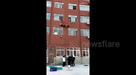 Students celebrate as they use cushions to catch cat falling from 2nd floor of school