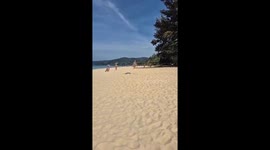 Sea turtle nests on busy beach in front of amazed tourists