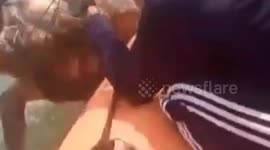 Marine team saves endangered sea turtle tangled in fishing net