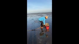 Turtle with rope wrapped around its neck rescued from beach