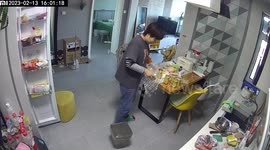 Owner rescues sneaky cat after accidentally locking it in freezer