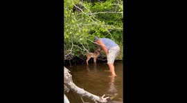 Kind Man Rescues a Baby Deer