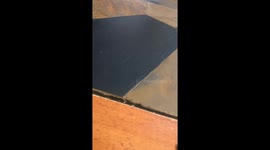 Mom's Budget Veneers Fail