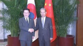 China: China's top legislator respectively meets ROK president, Irish PM