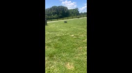 Who We Choose to Protect Our Farm