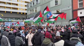 Pro-Palestine protesters march in Berlin