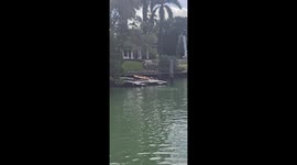 Crocodile Sunbathing in a Kayak