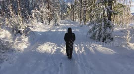 Winter Wonderland: Walking Through Deep Snow in Scottish Highlands Forest