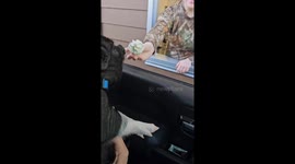 Mini Pig Kevin Bacon Enjoys Pup Cup