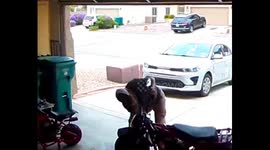 definition of whiskey throttle on motorcycle