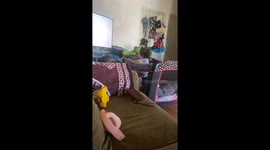 Toddler’s wild dance moves to viral track leave over 32 million viewers in stitches