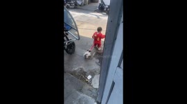 Chinese dog pulls toddler’s clothing while walking behind