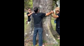Men Barefoot Hug Giant Tree to Absorb Earth’s Natural Energy