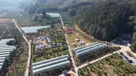 China: China accelerates agriculture modernization drive with widespread tech adoption