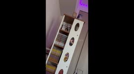 Japan: M6.2 Earthquake Strikes Shimane Prefecture, No Tsunami Threat 4