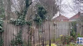 Gentle snowfall blankets Dagenham as Storm Goretti hits, London, UK