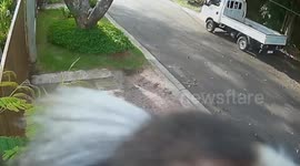 Curious marmoset examines security camera and stares into lens