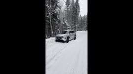 AWD Rental gets stuck