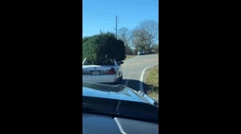 Car Hauling Huge Christmas Tree