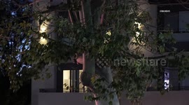 US, Los Angeles: Valley Village Evening Wind