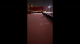 Puppy struggles through ice to reach owner in Jilin, China