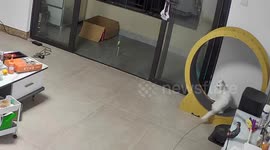 Cat’s funny reactions to unexpected door knock in Guangdong, China