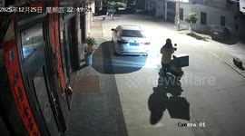 Repeat-offender dog brazenly steals Christmas takeaway just moments after delivery driver drops it off