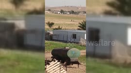 Palestine: West Bank Settler On Horseback Attacks Woman