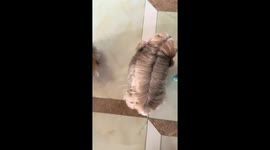 Yorkshire Terrier shows off long hair and pigtails in Shandong, China