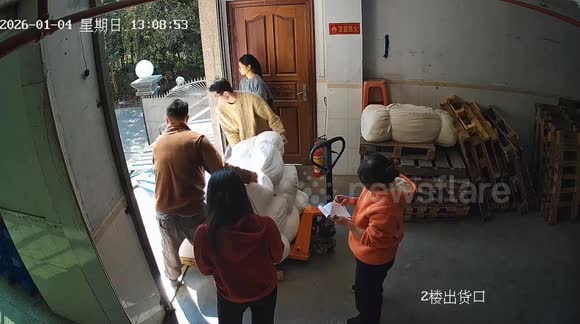 China Raising Rats Rats scatter as workers unload sacks in warehouse in Guangdong, China ...