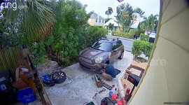 Florida neighbour calls police over screams - culprit turns out to 40-year-old parrot