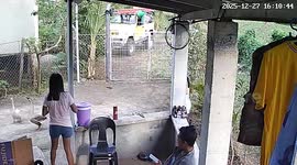 Territorial goose charges at girl as she tries to sneak out of house