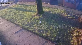 Terrifying moment woman is dragged to ground and attacked by dog still on its lead