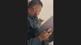Man reads “Meow” to his cat Faya—TikTok clip charms viewers with 46K‑view moment