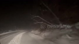 US: Snowfall Creates Hazardous Conditions On SR-210 In Cottonwood Canyons