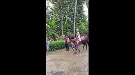 Horse rears during parade in Purworejo, Central Java, Indonesia