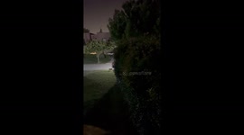 Man jumps out window and lands on plant in Río Cuarto, Córdoba, Argentina