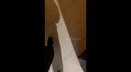 Guilty-looking dog after sofa destruction in Nicosia, Cyprus