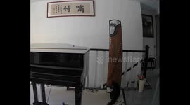 Cat in China curiously played a guzheng and produced clear musical sounds