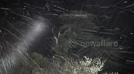 Storm Goretti: Trees uprooted as winds of over 100mph lash Cornwall