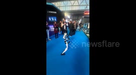 Spain: Robot performance turned dangerous after near kick incident