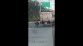 Tourist seen riding BMX by clinging to moving truck