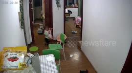 Three-year-old boy holds newborn sister upside down before parents intervene